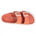 Glen Powder Coral
